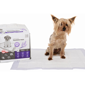 Mpets Lavender Scented Training Pads