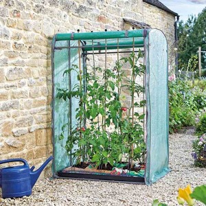 Tomato Garden Greenhouse