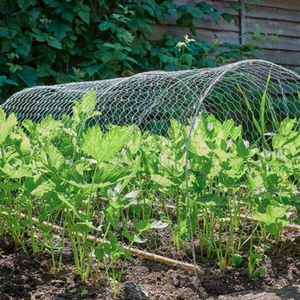 Galvanised Chicken Wire Mesh 50cm x 20m