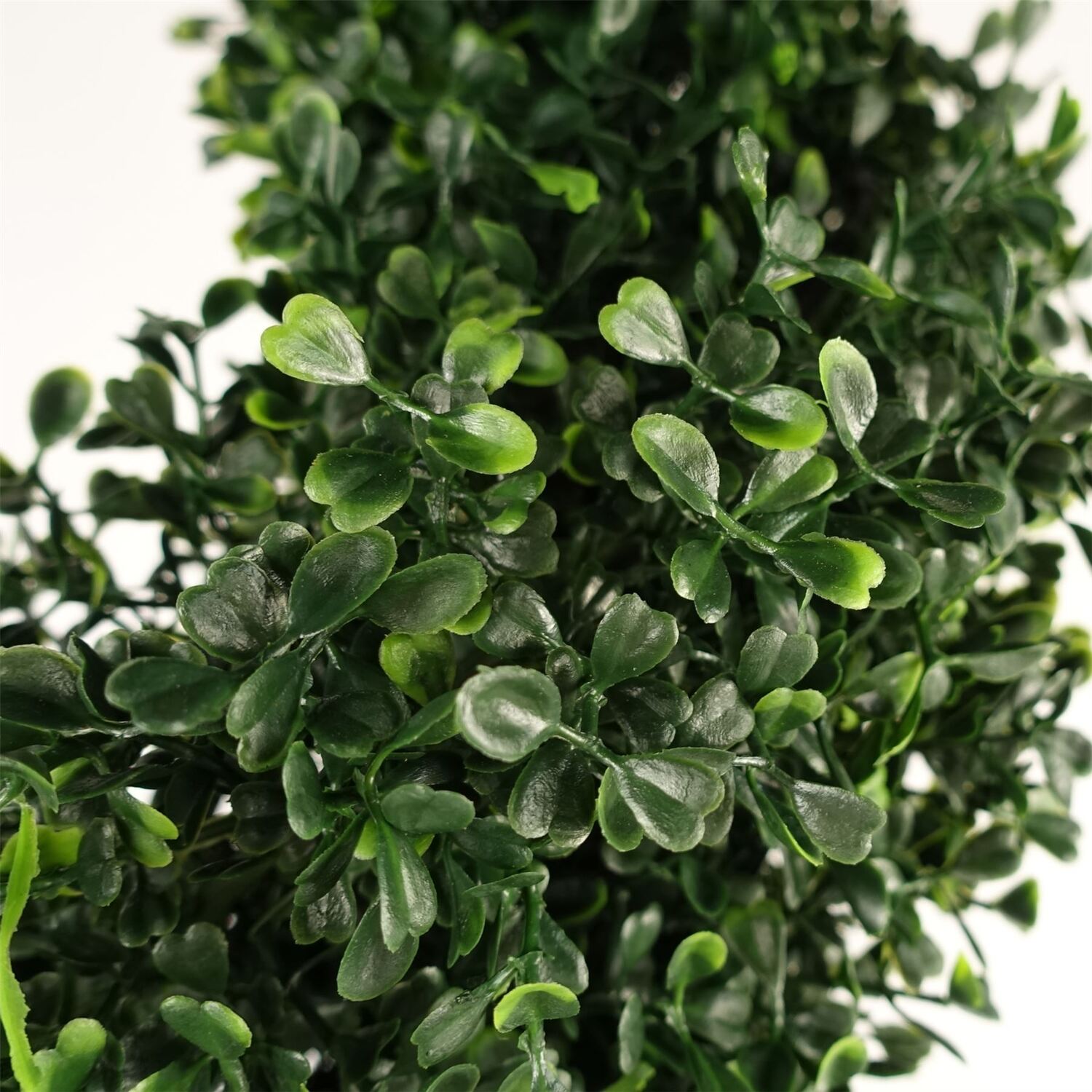 UV Resistant Boxwood Tree Spiral Topiary 1058 leaves - 120cm UV Boxwood