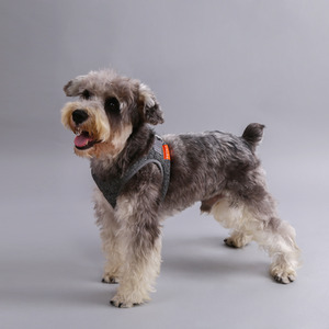 Pet Kit Air Harness Size Small