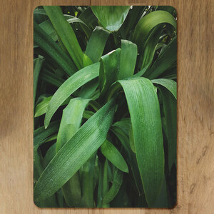 Atmospheric background, Selective focus Designer Placemat Set