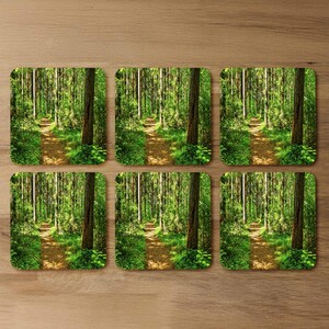 Woodland path Designer Coaster Set
