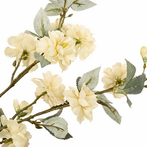  shot 12384824