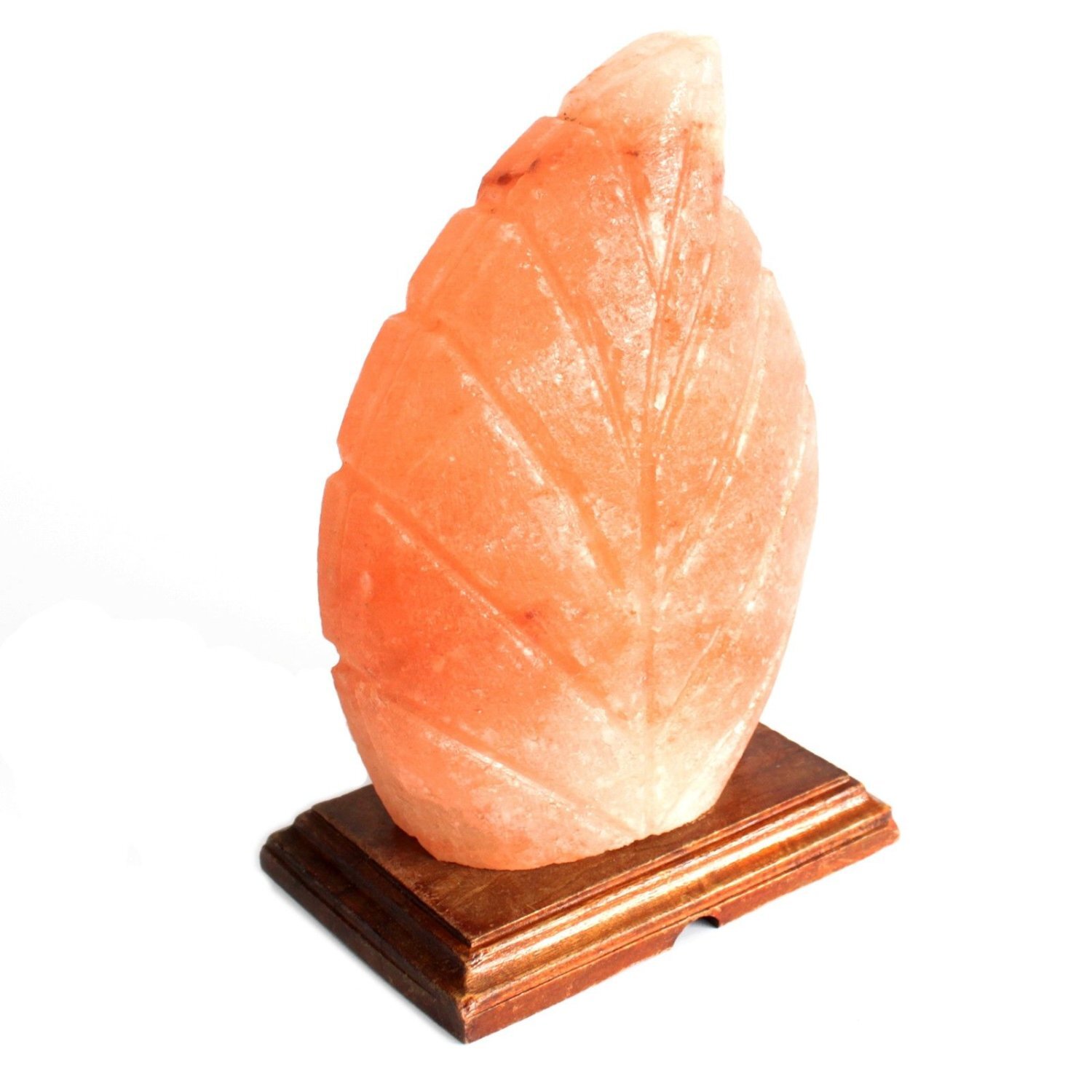Image of Fern Shape Himalayan Salt Lamp Air&hellip;