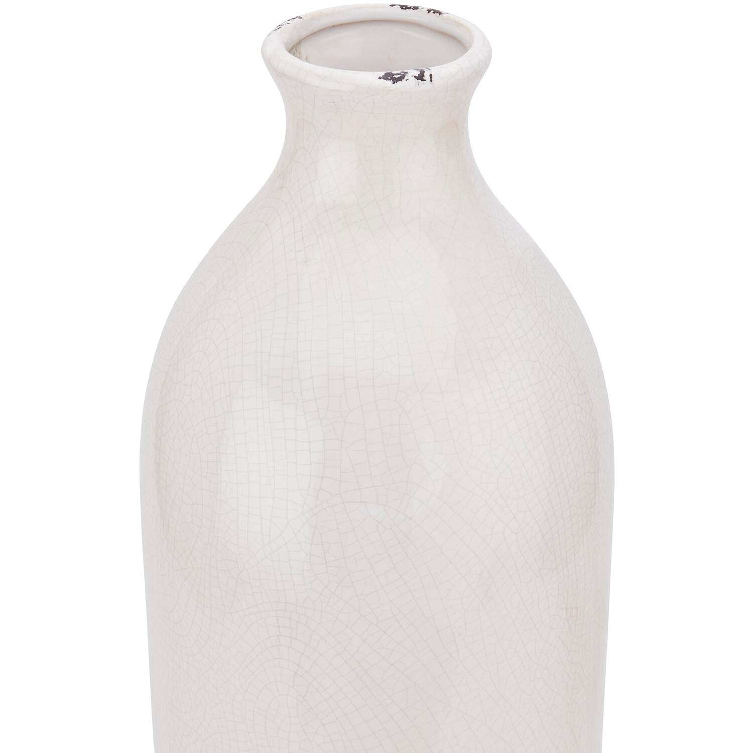 Wyld Haus Sagebloom Crackle-glazed Tall Ceramic Bottle Vase Soft Cream - White