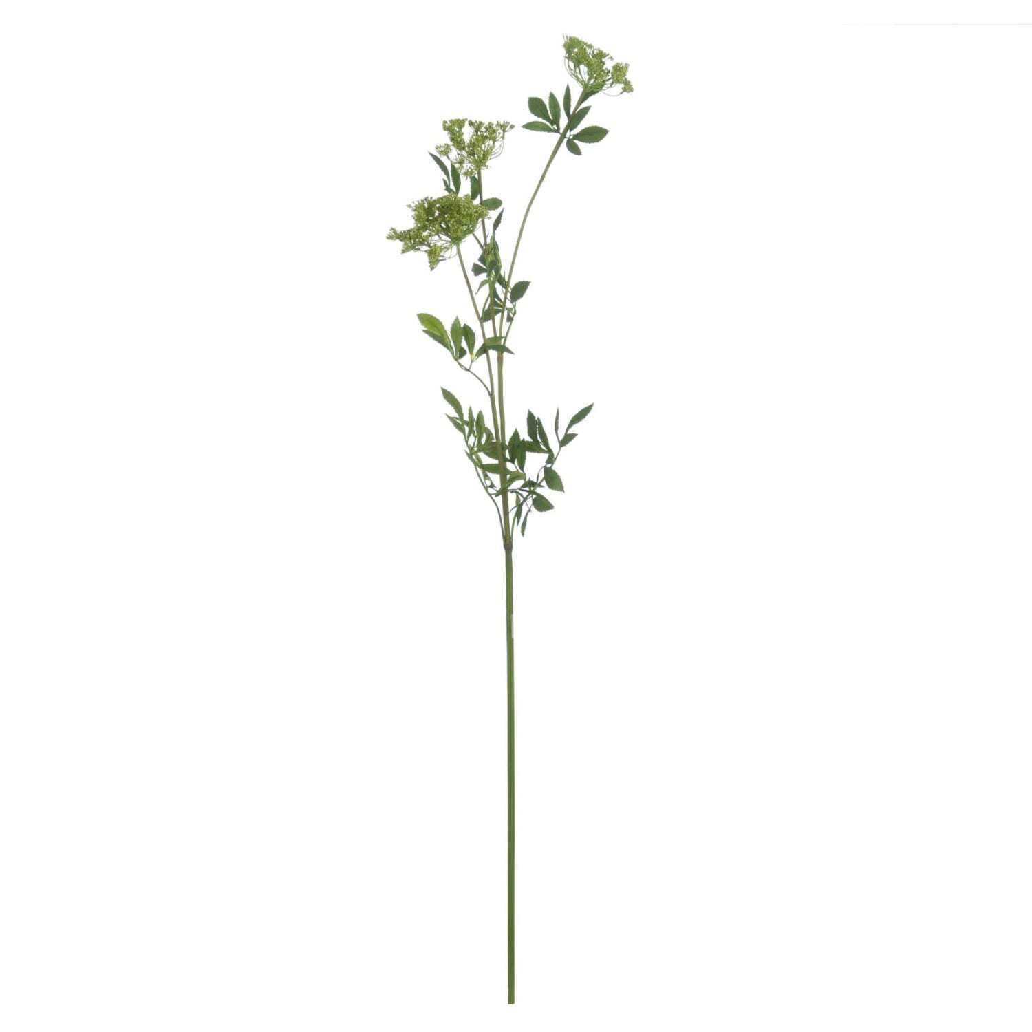 Wyld Haus Set Of 3 Artificial Cow Parsley (Ammi) Stems - Green