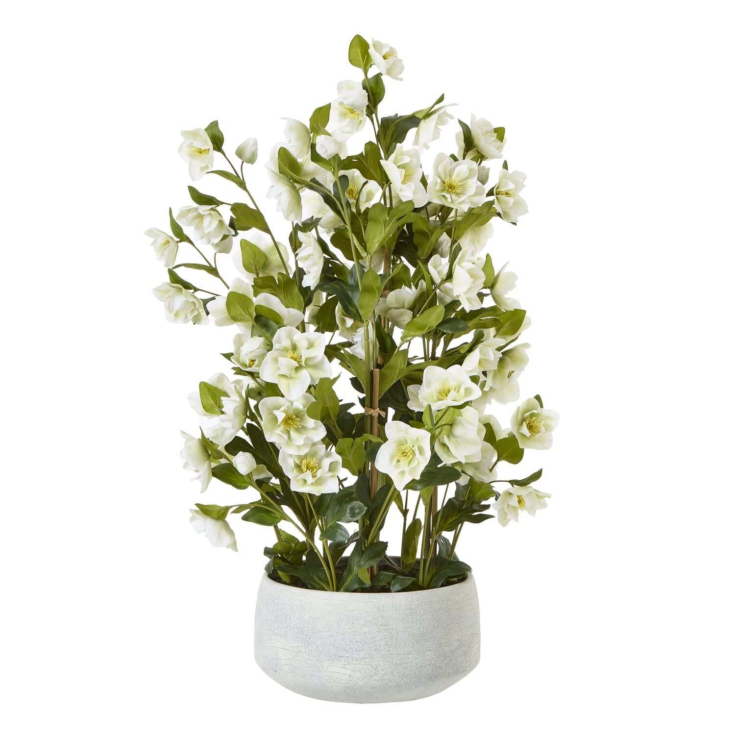 Large Artificial Hellebore in Ceramic Pot - White