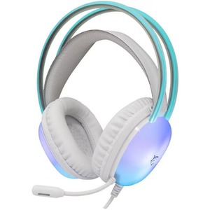  shot 15803004