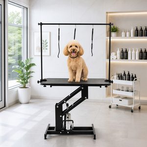 Large Adjustable Hydraulic Pet Grooming Table