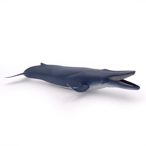PAPO Marine Life Blue Whale Toy Figure