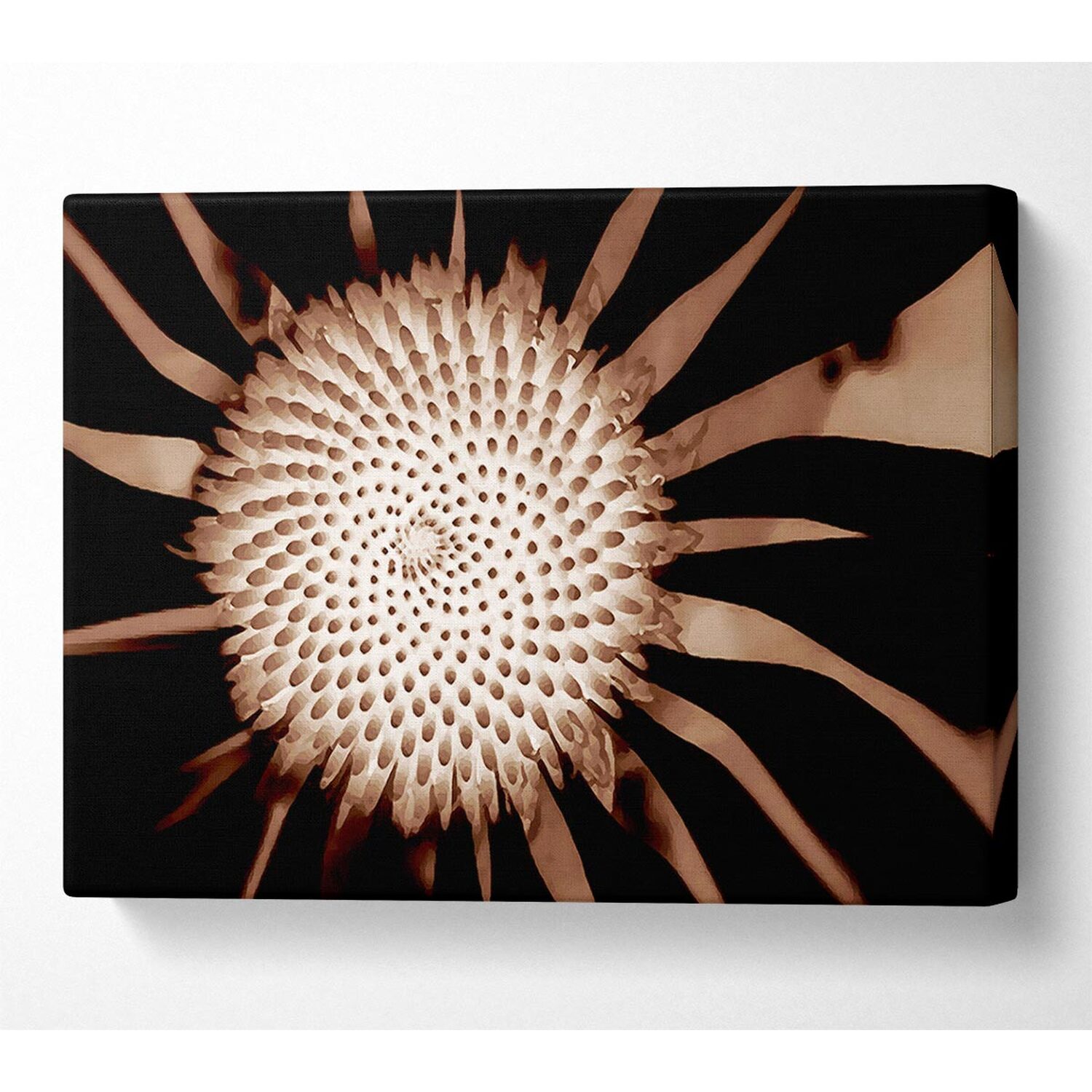 Wallart-Direct - Chocolate Daisy Centre Canvas Print Wall Art - Yellow / 101.6cm thumbnail