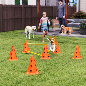 PawHut  Adjustable Height Dog Agility Equipment Set