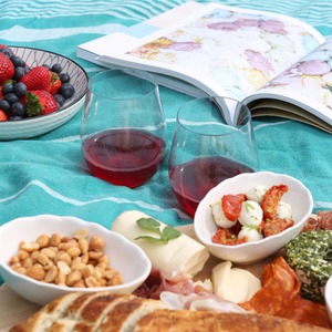 Reusable Plastic Stemless Wine Glasses