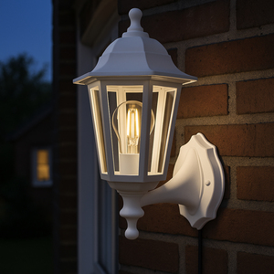 Eglo Olgiata-E Plastic Classic Outdoor Wall Light, White