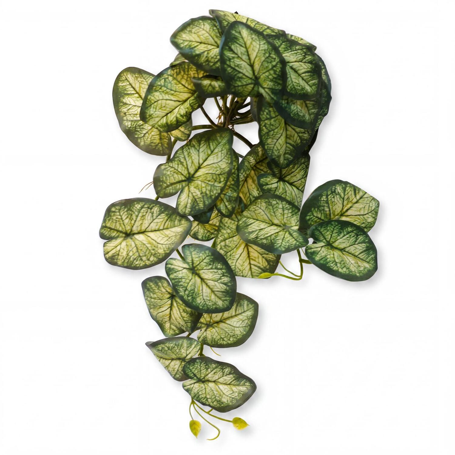 Leaf 25 Cm Artificial Trailing Variegated Caladium Vine Plant, Dark Green - Image 4