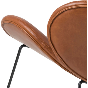 Cazar Lounge Chair in Brown