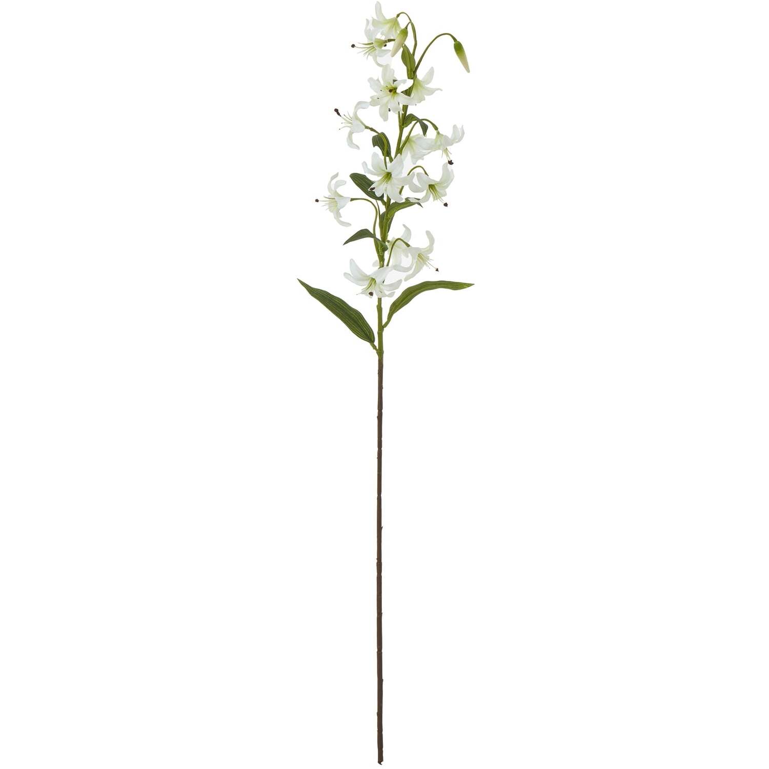 - Turks Cap Green Lily Spray - Image 2