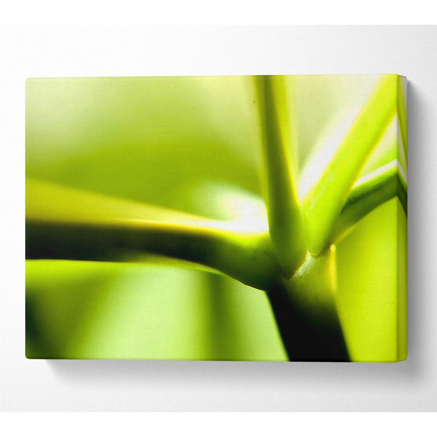 Wallart-Direct - Green Stem Canvas Print Wall Art - Yellow / 101.6cm thumbnail