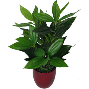 Large Bushy Artificial Evergreen House Plant