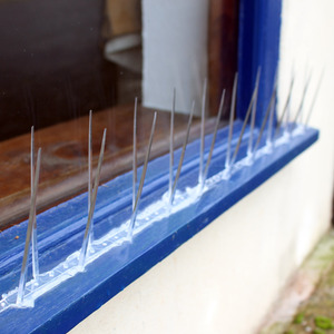 Plastic Bird Spikes Animal Deterrent