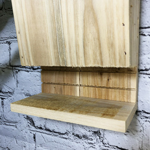  shot 2950497