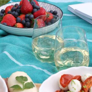 Reusable Plastic Stemless Wine Glasses 18pc Set