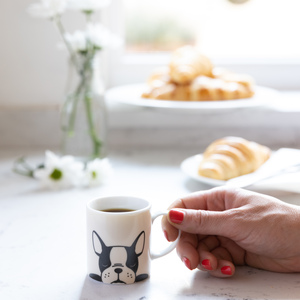 Set Of 6 Bulldog Espresso Cups
