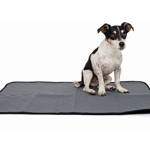 MPets Washable Training Pad - Medium