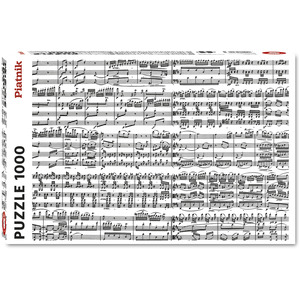 Musical Notes 1000 Piece Jigsaw Puzzle