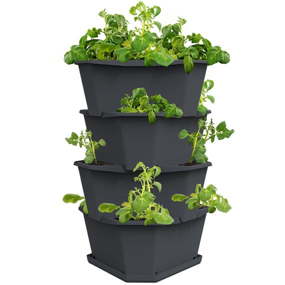 Paul Potato potato growing tower for balcony, terrace or patio