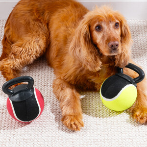 Kettleball Dog Toy