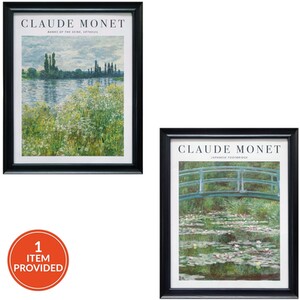 Monet Framed Print