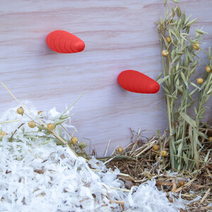 Ancol Carrot Gnaw Large