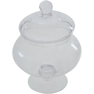 Olivia Clear Glass Candy Small Storage Jar
