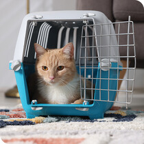 Cat Carriers