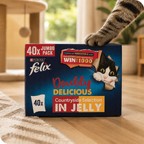 Cat Food & Treats