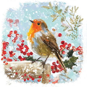 FestiveRobinRedBreast