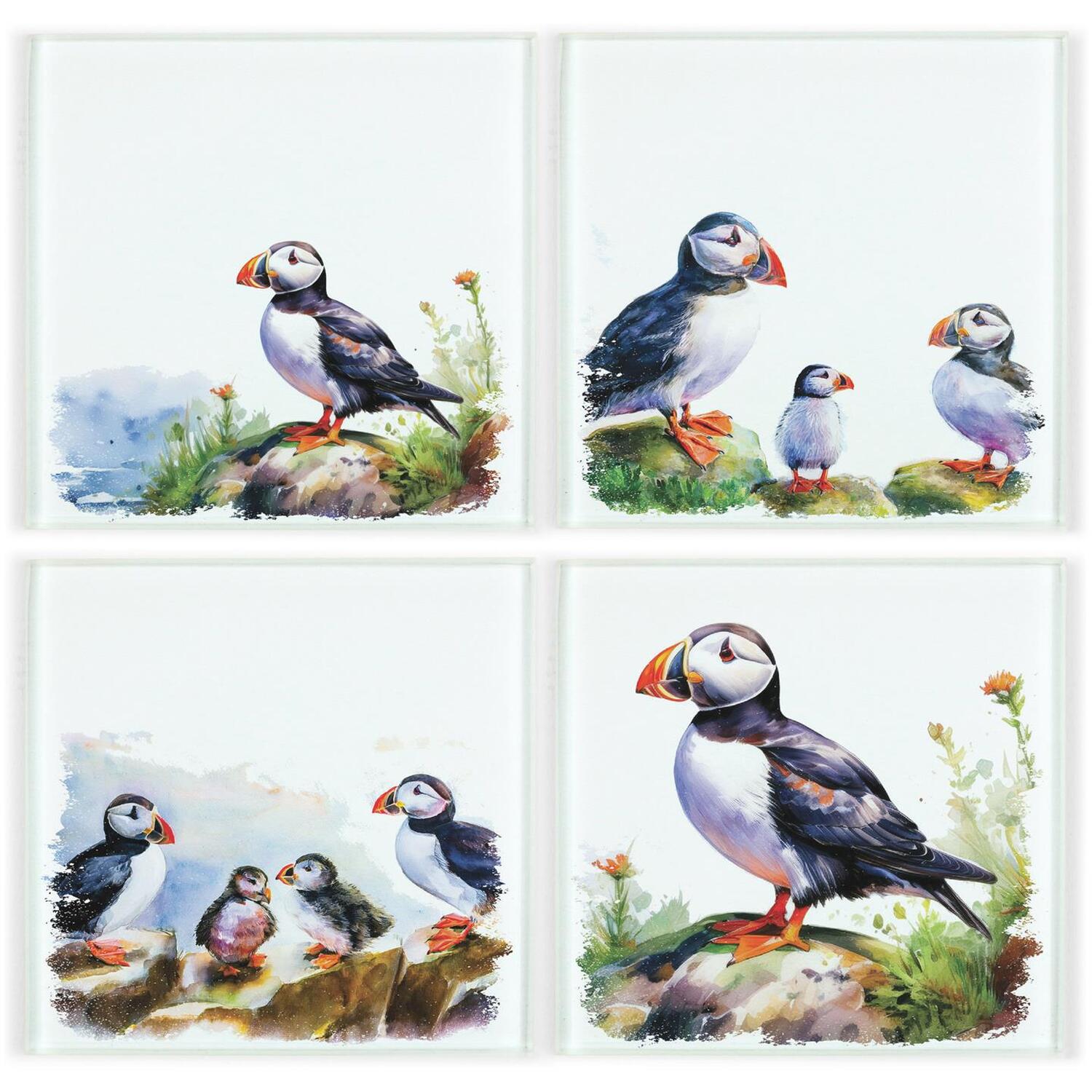 B&Q - Puffins CoastersCoastal Decor Set Of 4 Square Coasters - Image 3