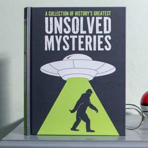 Unsolved Mysteries Book