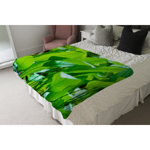 Green Leaf Background Abstract Of Nature Blanket