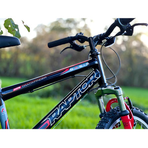 Basis Raptor Junior Hardtail 20In Mountain Bike