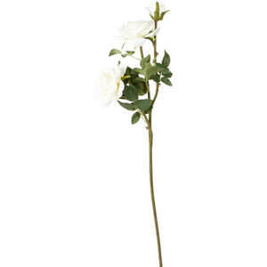 Assorted Supreme Rose Stem