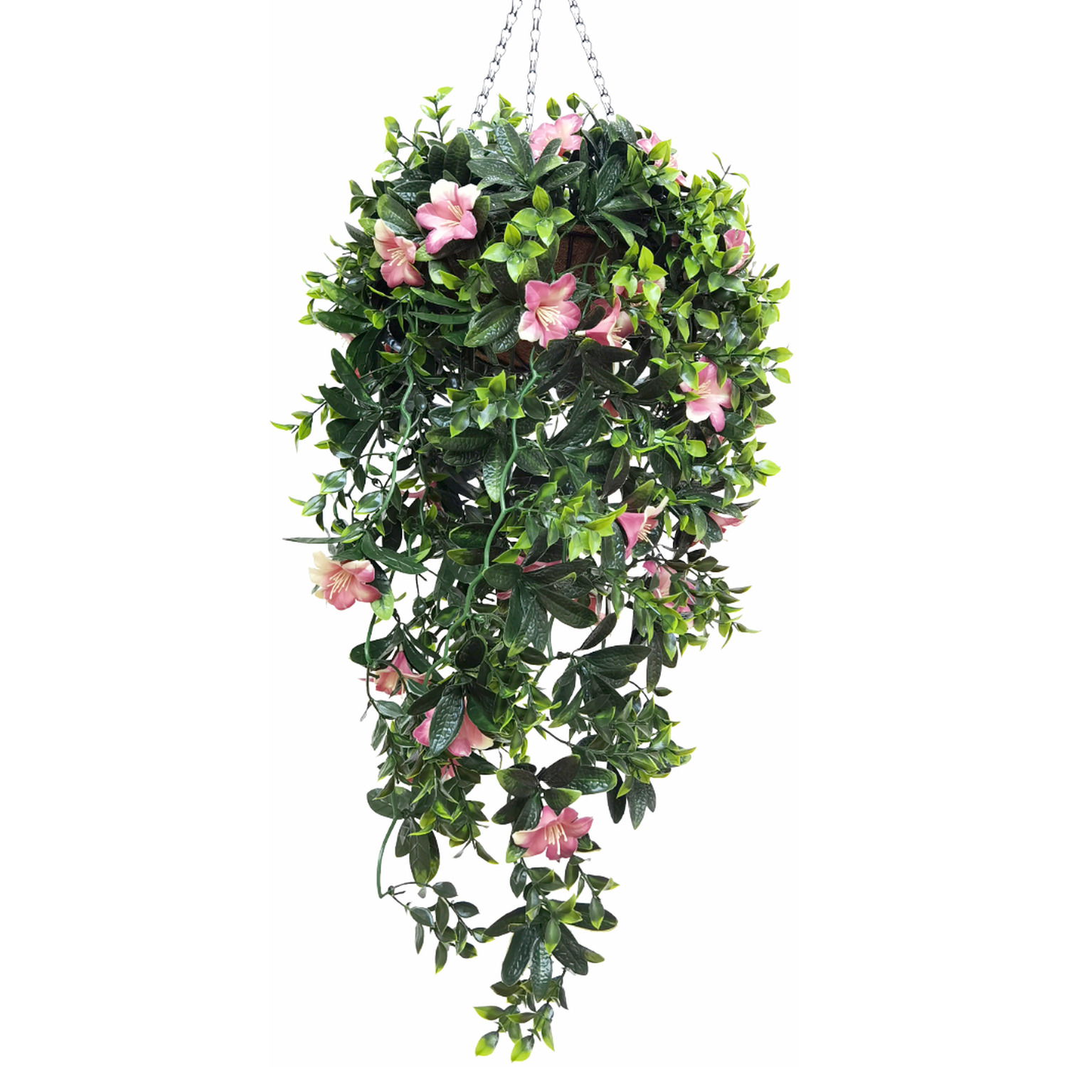 Azalea Hanging Basket with Cascading Flowers - Pink