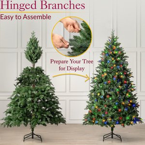  shot 10704505