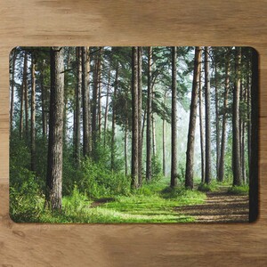 Beautiful summer forest with different trees Designer Placemat Set