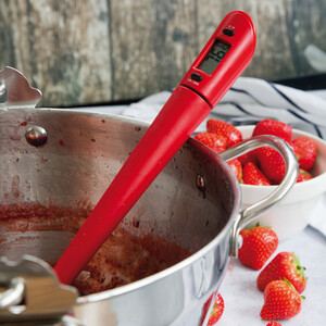 Home Made Silicone Thermo Spoon