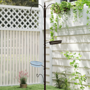 Essential Bird Feeding Station