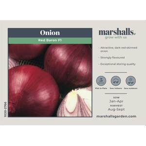 Marshalls Garden Onion Seeds Red Baron F1 - Extra-Large Dark Red Bulbs, Pack of approx. 350 seeds