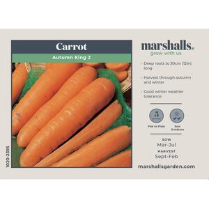 Marshalls Garden Autumn King 2 Carrot Seeds - Long Hardy Winter Variety